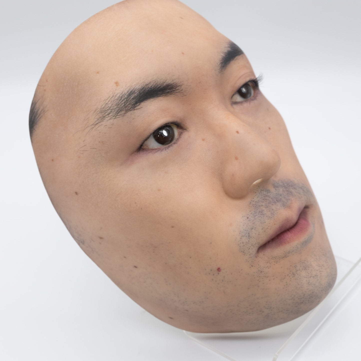 No.00 - That Face wearable portrait mask by KAMENYA OMOTE