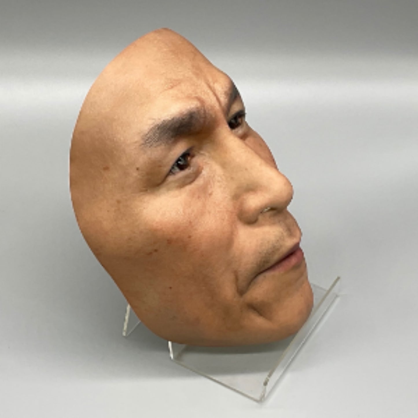 No.02 - That Face wearable portrait mask by KAMENYA OMOTE