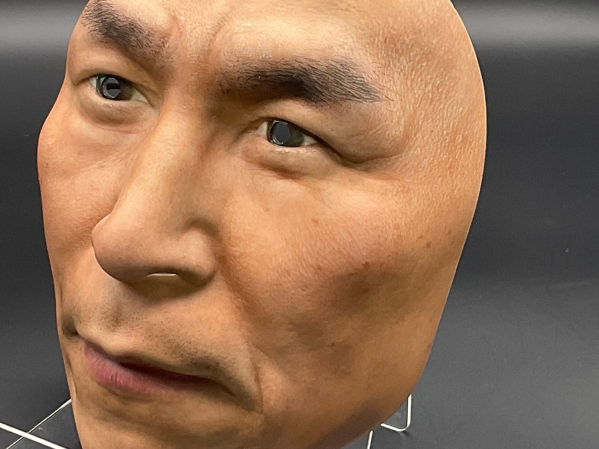 Hyper-Realistic Human Face Mask — "That Face" No.02 Popular Edition (Anokao)